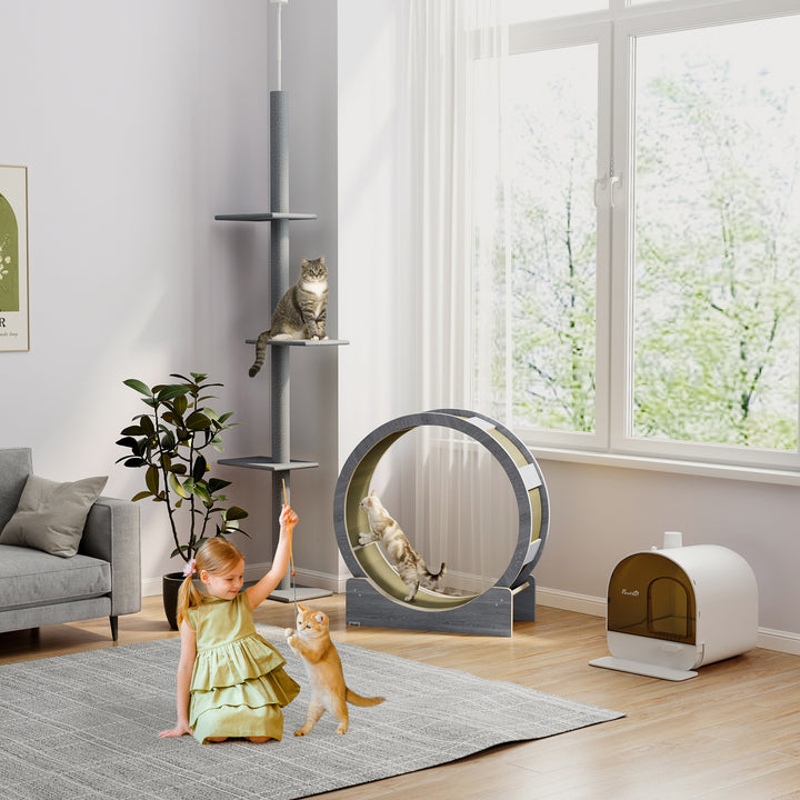 Kattetræningshjul, 91 cm kattetræningshjul med bremse og kradsemåtte, valnød