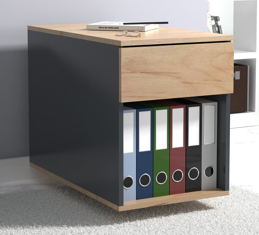 Kontorskab/arkivskab, h. 55 x b. 39 x d. 45/70 cm, flerfarvet