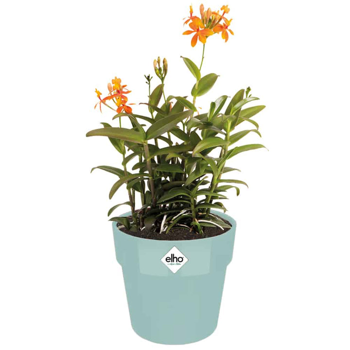 Plant Pot Mint 7.1x6.7 i 2,9L