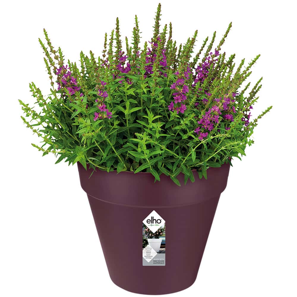 Blomsterpotte 5,5L 25x22cm Mulberry Matt