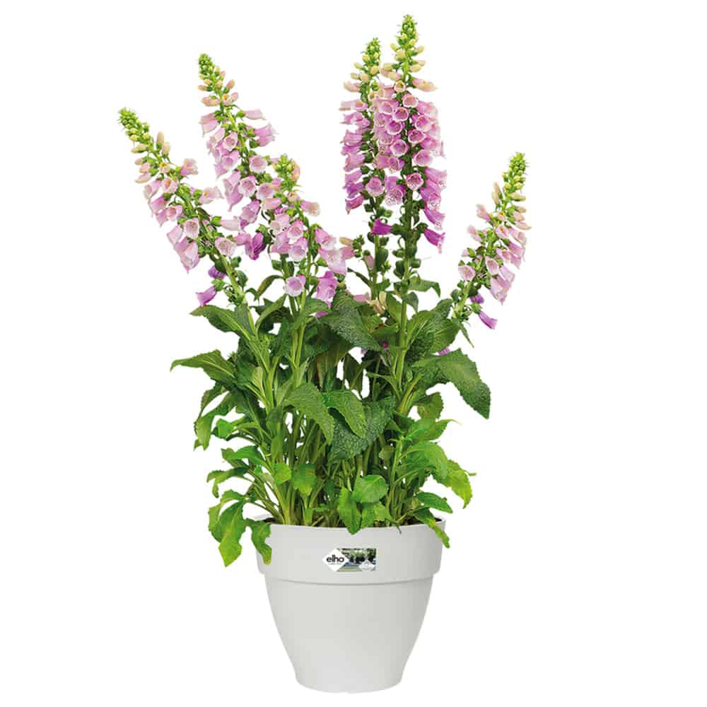 Blomsterpot hvid 7,87 x 6,69 i 3,2L